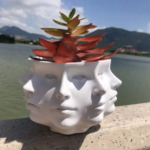 3D Gezicht Bloempot Binnen - Artistieke Bloempot voor Planten en Bloemen, Hoogwaardig en Duurzaam Design