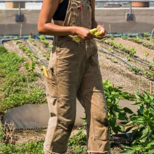 Eend Bib Overalls Canvas Werkoutfit Dungarees